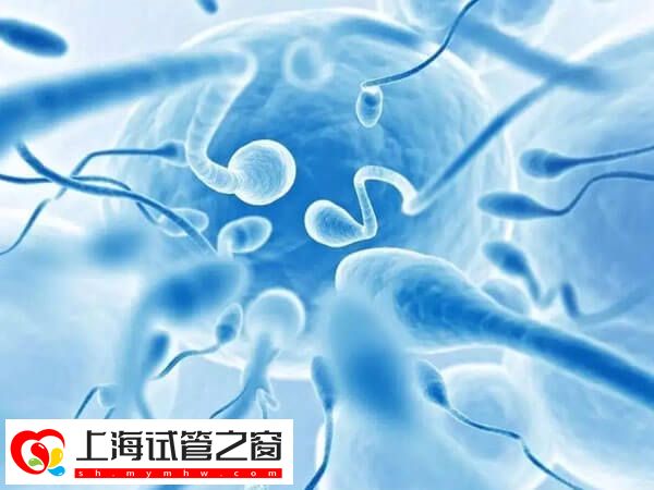 无头精子症怎么生孩子