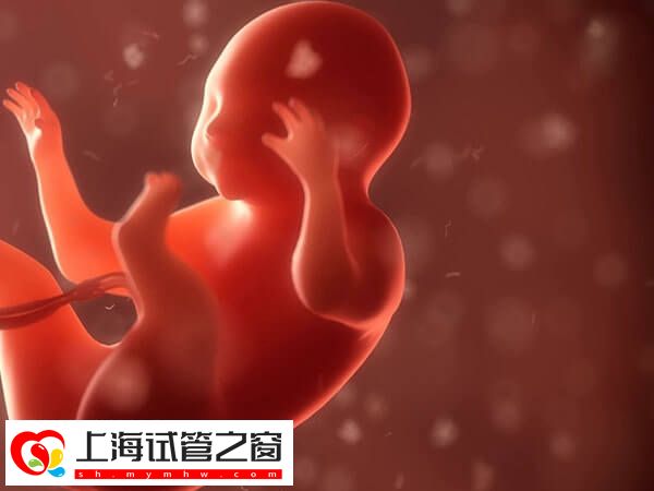 囊胚移植后48小时很关键，坐浴、提重物都不能干(图1)