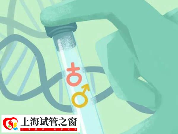 为什么很多过来人说一代试管比较容易生女儿？(图1)